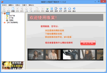 维棠FLV视频下载软件